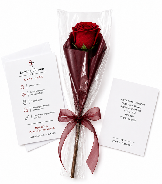 The Lasting Rose
